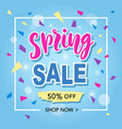 spring sale banner template vector image vector image