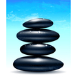 spa zen stones vector image