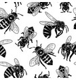 graphic seamless pattern realistic drawn honey vector image