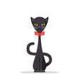 cute domestic cat vector image