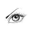 female eye with hand- drawing style vector image
