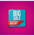 sale special offer vector image vector image