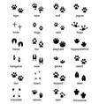 set of footprints wild animals vector image vector image