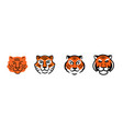 tiger abstract logo icon lines design elements vector image