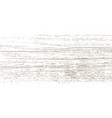 woodgrain texture vector image vector image