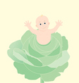 newborn baby in cabbage vector image