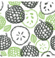 hand drawn sketch style cherimoya seamless vector image vector image