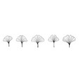 ginkgo biloba black outline in sketch style vector image