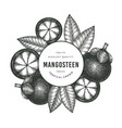 hand drawn sketch style mangosteen design vector image