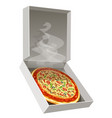 hot pizza vector image vector image