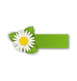 label or offer sticker with flower daisy isolated vector image
