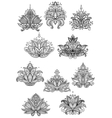 outline persian paisley flowers and blossoms vector image