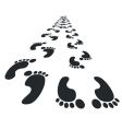 foot steps vector image
