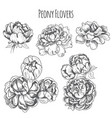 sketch - card with flowers vector image
