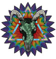 skull of a bull on a colorful paint texture vector image