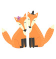 foxes couple isolated element vector image vector image