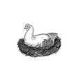 domestic chicken and nest mother hen farm bird vector image