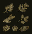 gold fir branches and cones doodle set vector image vector image