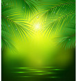 green background with palm branches vector image