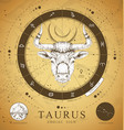 Sign of the zodiac taurus bull Royalty Free Vector Image