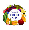 exotic fruits and berries apple mango feijoa vector image vector image