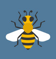 bees vector image