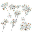 collection of hand drawn rustic flowers vector image vector image