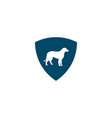 dog icon logo design template vector image vector image
