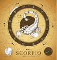witchcraft card with astrology scorpio zodiac sign vector image vector image