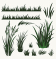 green grass vintage collection vector image