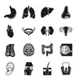 internal human organs icons set vector image