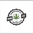 rustic cannabis marijuana logocannabis vintage vector image vector image