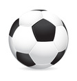 soccer ball vector image