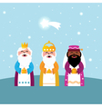 three wise men vector image