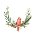 watercolor christmas wreath with bird vector image