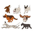 collection dog breeds icons vector image vector image