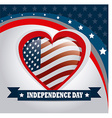 usa design vector image vector image