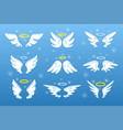 angel wings cute halo rings love bird nimbus vector image