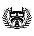 dog breed pit bull terrier vector image vector image
