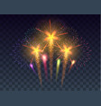 fireworks background festive vector image