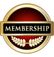 membership icon vector image vector image