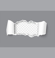 realistic gray torn open paper with rolled sides vector image