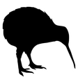 Black silhouette kiwi Royalty Free Vector Image