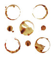 coffee stain set vector image