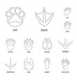 foot and footprint symbol vector image