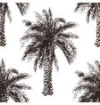hand drawn palm tree seamless vector image vector image