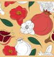 pomegranate pattern botanical fruit sketch vector image
