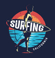 vintage surfing sport colorful logo vector image