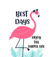 hand drawing print design flamingo vector image