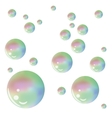 soap bubbles vector image